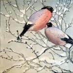 snow birds