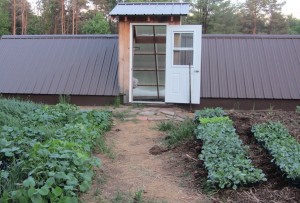 flats of winter squash and cabbage family plants moved out of the greenhouse in anticipation of planting