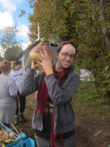 Heron rutabaga harvest