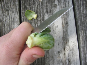 2nd-cut above base to release some of the wrapper leaves from the bottom, so they can be more easily pulled off