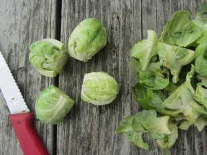 sprouts trimmed and ready for roasting etc.