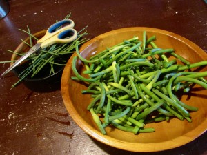 Trimmed scapes
