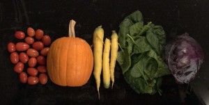 flavor rainbow