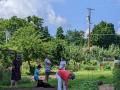 PXL_20220806_150234618