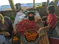 PXL_20220828_174028496_tomatoes